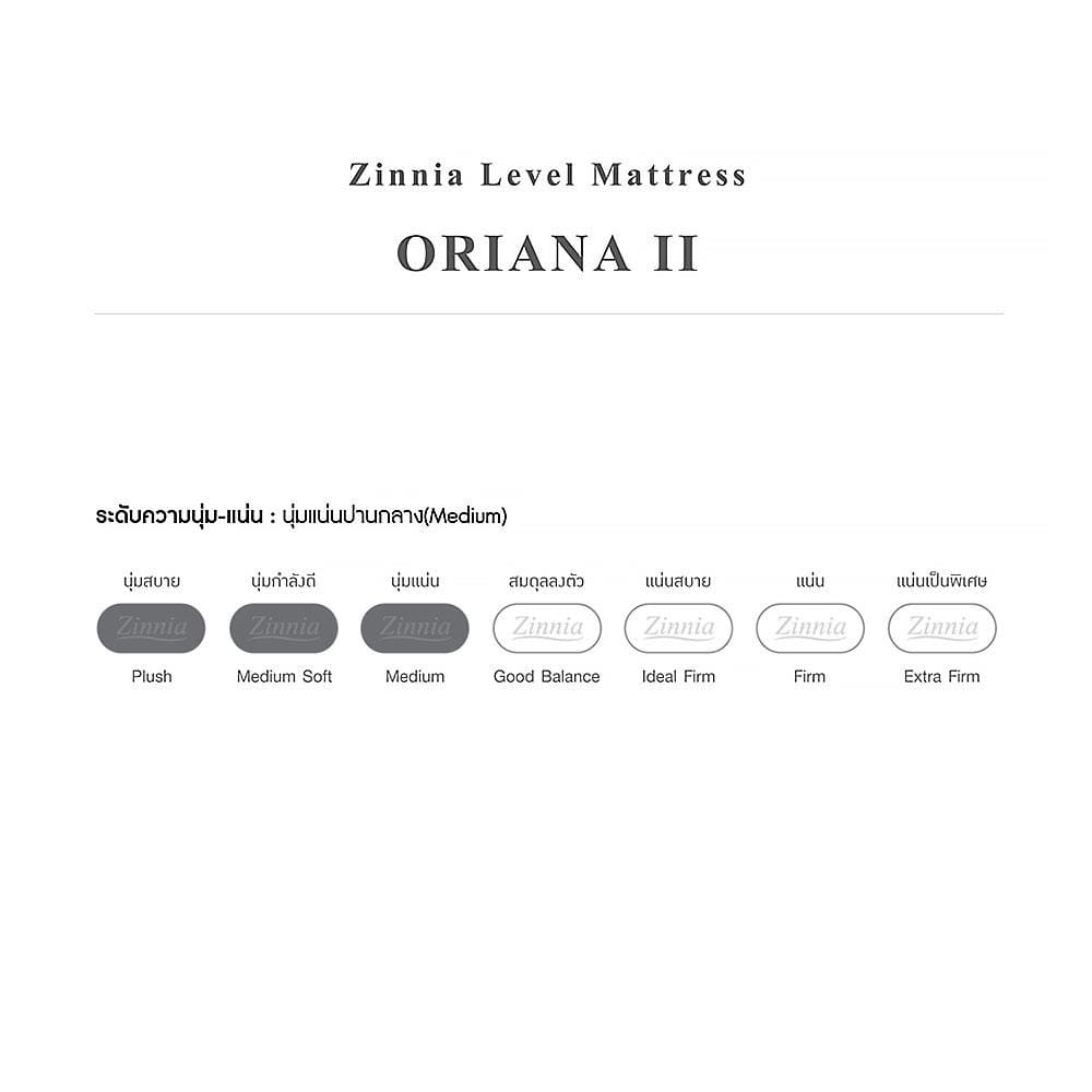 ที่นอนสปริง 5 ฟุต ZINNIA รุ่น ORIANA II