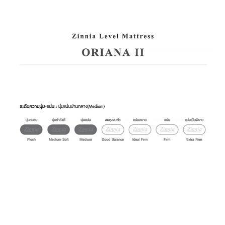 ที่นอนสปริง 5 ฟุต ZINNIA รุ่น ORIANA II_1
