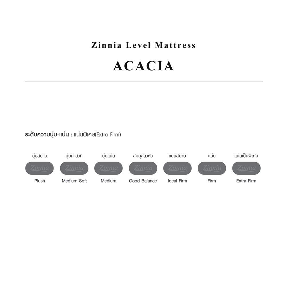 ที่นอนโฟม 5 ฟุต ZINNIA รุ่น ACACIA