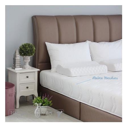 ที่นอนโฟม 5 ฟุต ZINNIA รุ่น ACACIA_3