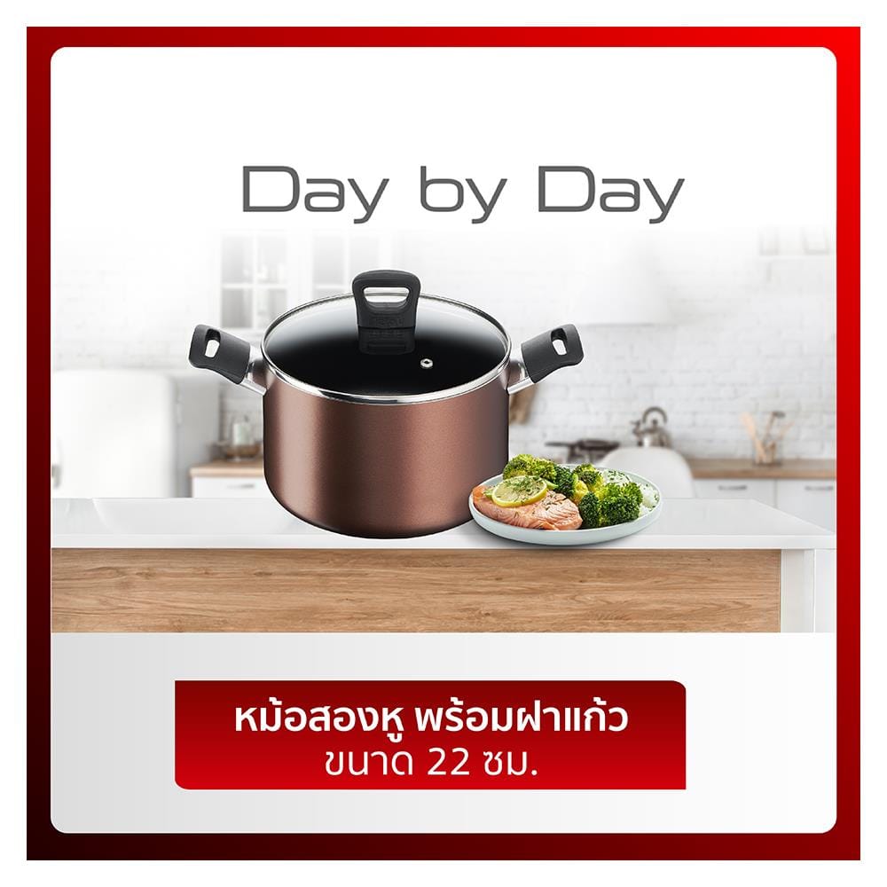 หม้อต้ม 22 ซม. TEFAL DAY BY DAY
