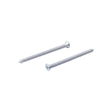 สกูรยึดกระเบื้องปลายแหลม SEALTEX 8x2.5 นิ้ว 100 ชิ้น_0