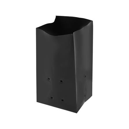 ถุงเพาะชำ SPRING 5x12 นิ้ว 1 กก. สีดำ_1