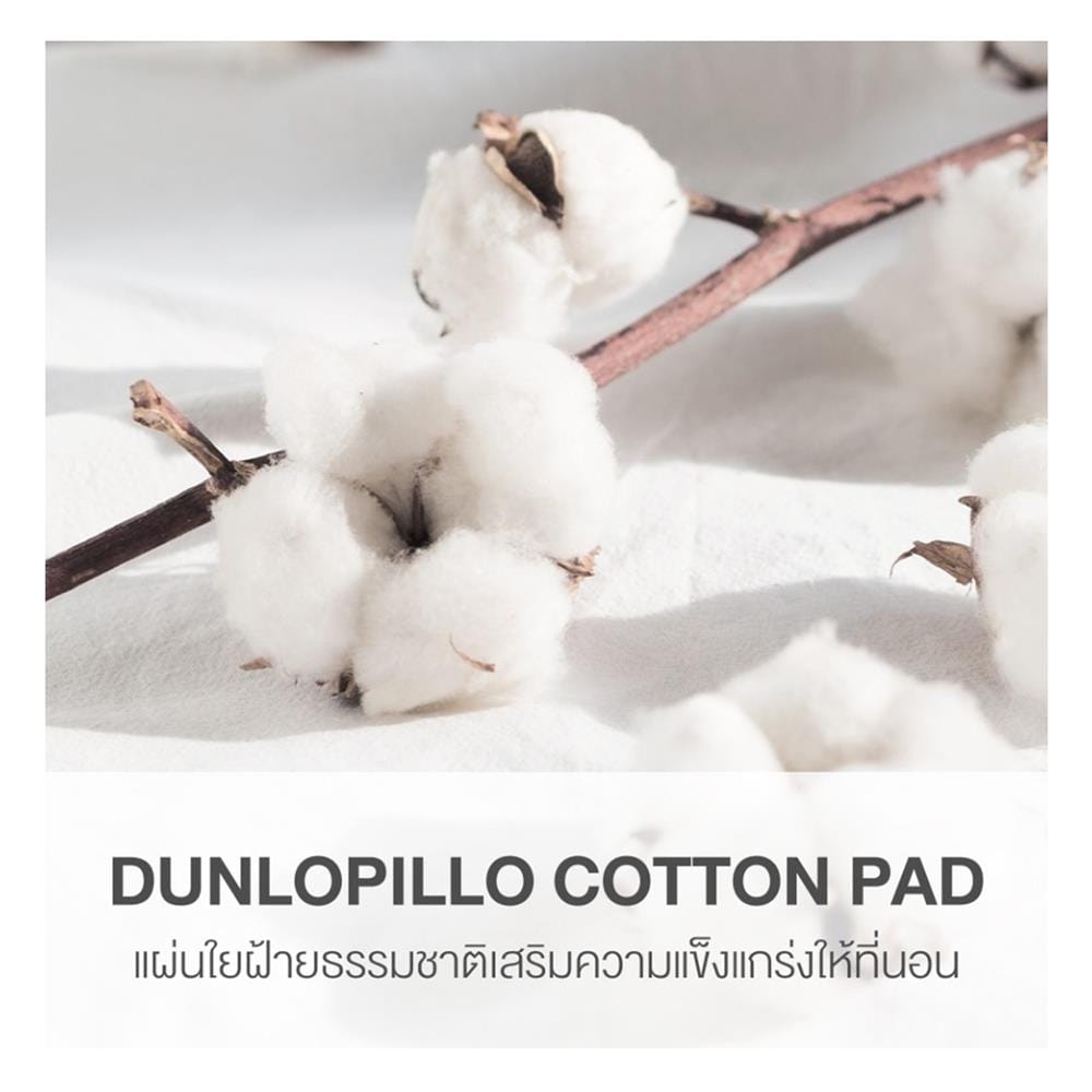 ที่นอนสปริง 5 ฟุต DUNLOPILLO รุ่น TWILIGHT พร้อมหมอนหนุน 2 ชิ้น