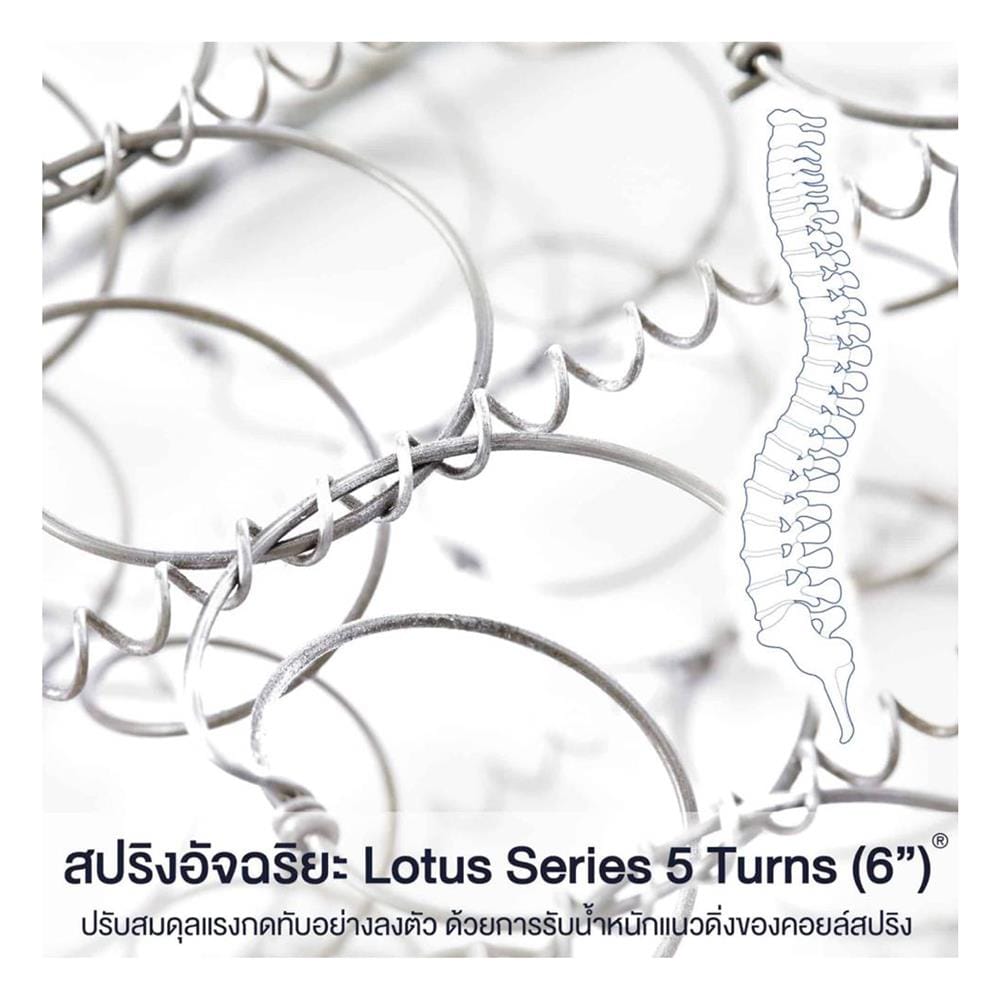ที่นอนสปริง 6 ฟุต LOTUS รุ่น NAUTILUS