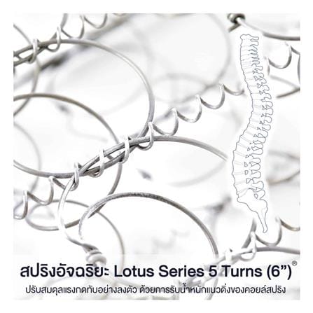 ที่นอนสปริง 5 ฟุต LOTUS รุ่น NAUTILUS_6