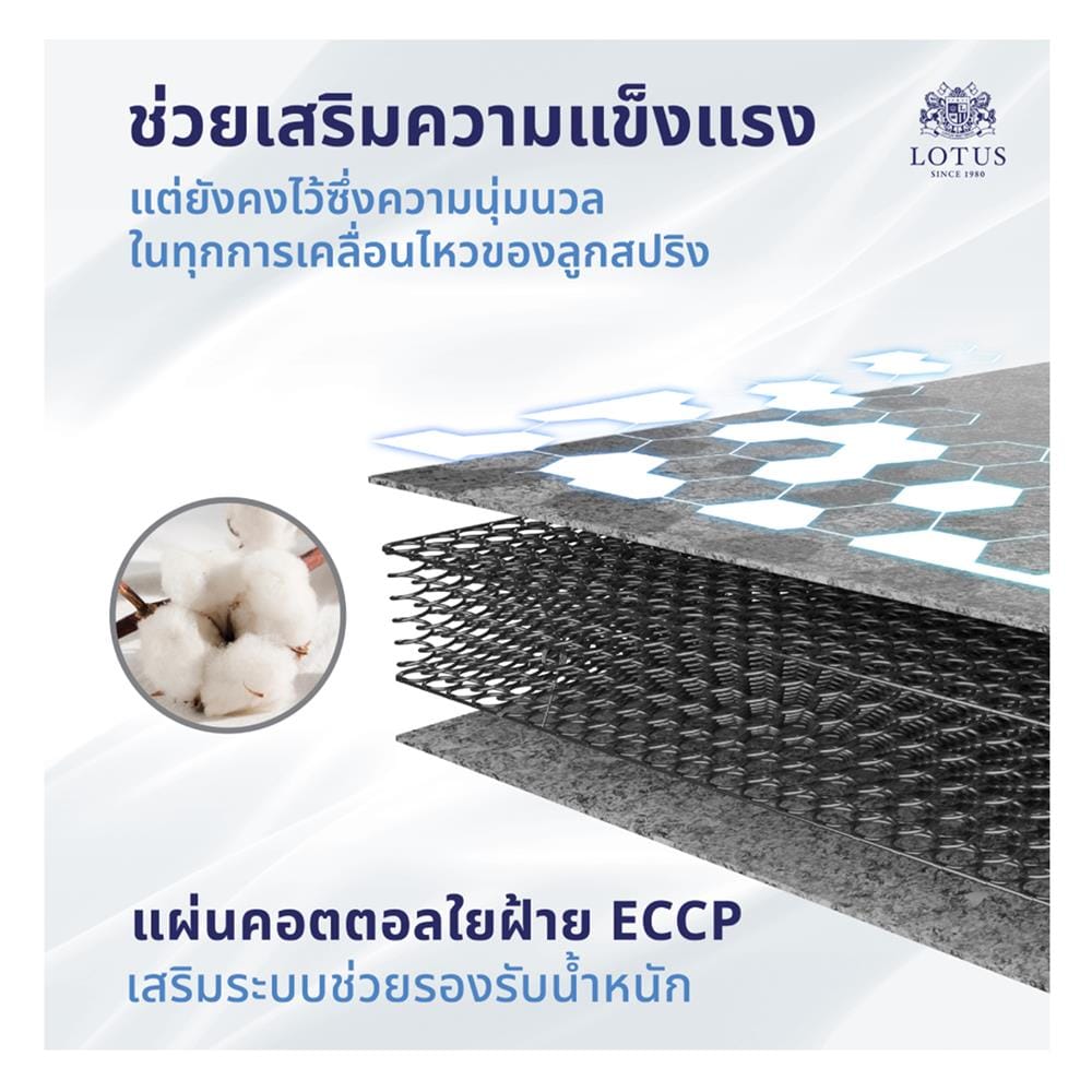 ที่นอนสปริง 5 ฟุต LOTUS รุ่น THE LOUNGE พร้อมหมอนหนุน 2 ใบ