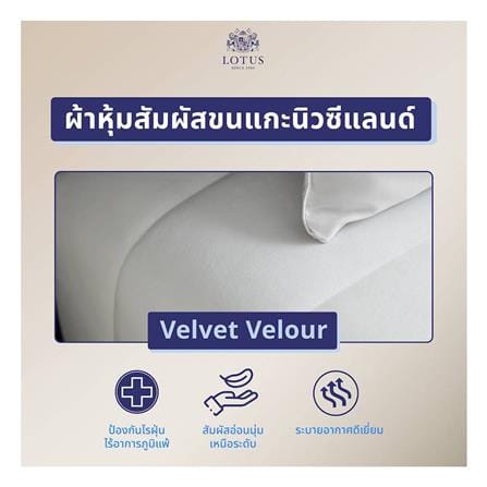 ที่นอนพ็อกเก็ตสปริง 3.5 ฟุต LOTUS รุ่น CASTLE พร้อมหมอนหนุน 1 ใบ_1