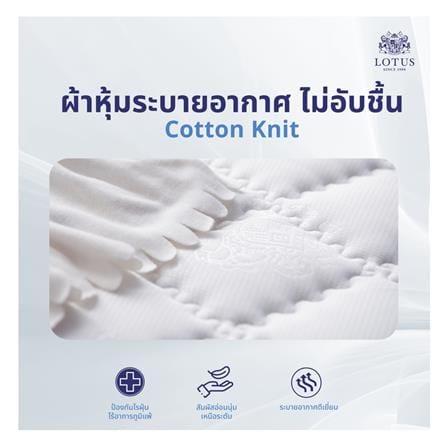 ที่นอนสปริง 6 ฟุต LOTUS รุ่น VIOLIN พร้อมหมอนหนุน 2 ชิ้น_4