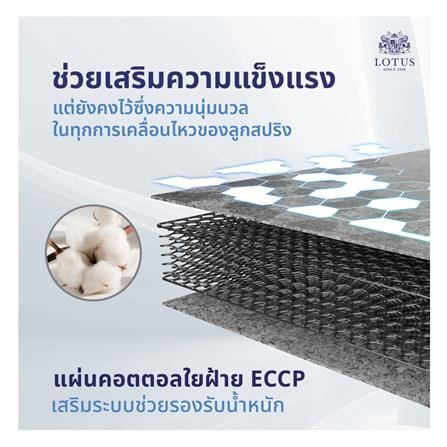 ที่นอนสปริง 6 ฟุต LOTUS รุ่น VIOLIN พร้อมหมอนหนุน 2 ชิ้น_10
