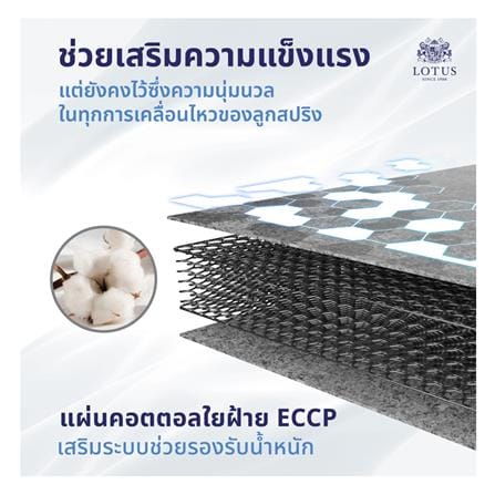 ที่นอนสปริง 6 ฟุต LOTUS รุ่น THE LOUNGE พร้อมหมอนหนุน 2 ใบ_7