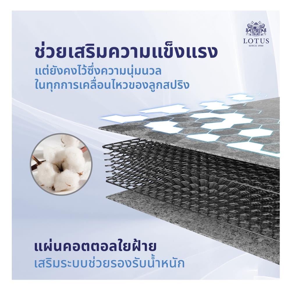 ที่นอนสปริง 5 ฟุต LOTUS รุ่น NORTHLIGHT II พร้อมหมอนหนุน 2 ชิ้น
