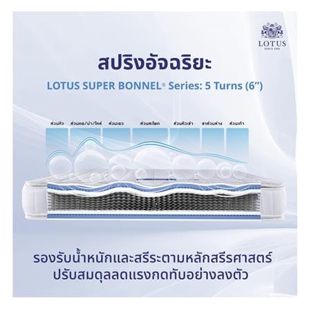ที่นอนสปริง 5 ฟุต LOTUS รุ่น NORTHLIGHT II พร้อมหมอนหนุน 2 ชิ้น_8