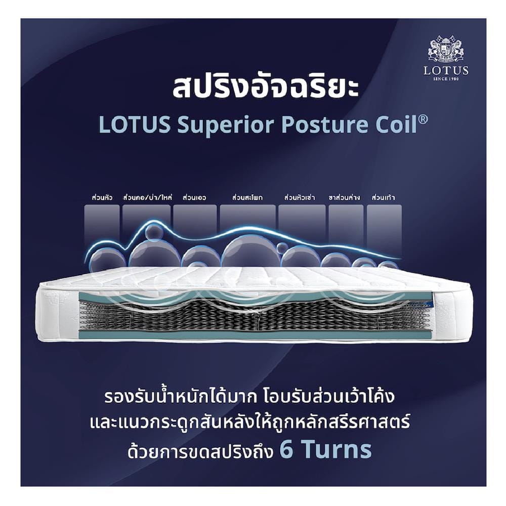 ที่นอนสปริง 6 ฟุต LOTUS รุ่น NORTHLIGHT I พร้อมหมอนหนุน 2 ชิ้น