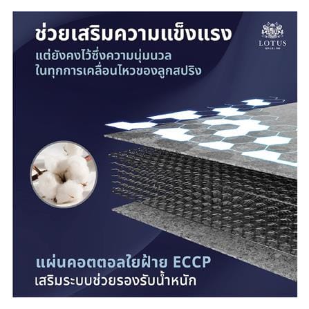 ที่นอนสปริง 6 ฟุต LOTUS รุ่น NORTHLIGHT I พร้อมหมอนหนุน 2 ชิ้น_7