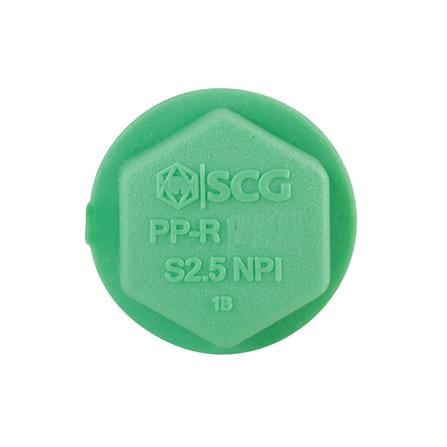 ปลั๊กอุดเกลียว PP-R SCG 3/4 นิ้ว_2