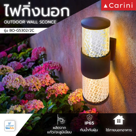 ไฟกิ่งภายนอก CARINI BO-G5302/2C สีดำ_4