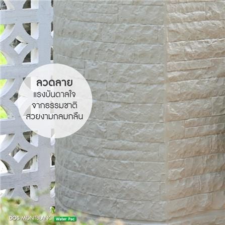 ถังเก็บน้ำ DOS MONTBLANC WATER PAC 900 ลิตร+ปั๊มน้ำ GRUNDFOS CMB5-46PM1 สี MOUNTAIN GREY_8