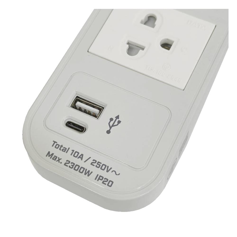 รางปลั๊กไฟ 2 ช่อง 1 สวิตช์ 1 USB 1TYPE-C DATA WL124 16A 2M สีเทา