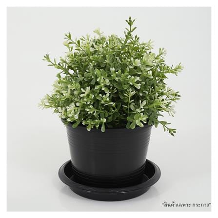 กระถางต้นไม้ SPRING 5.5 นิ้ว สีดำ_2