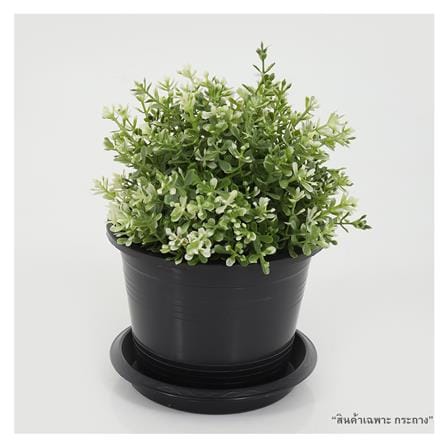 กระถางต้นไม้ SPRING 6 นิ้ว สีดำ_2