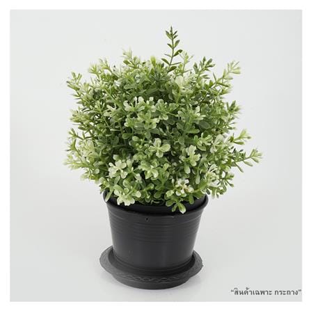 กระถางต้นไม้ SPRING 4 นิ้ว สีดำ 1 ใบ_2