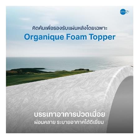 ที่นอนสปริง 6 ฟุต OMAZZ รุ่น ORGANIQUE PLUS พร้อมหมอนหนุน 2 ใบ_5