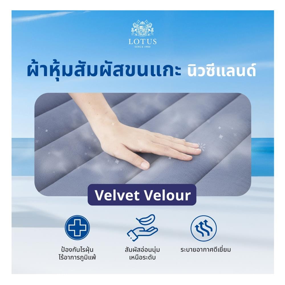ที่นอนโฟม 6 ฟุต LOTUS รุ่น ASCOTT พร้อมชุดเครื่องนอน 11 ชิ้น