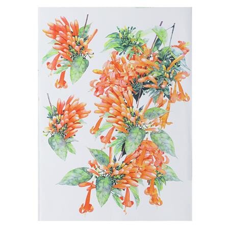 สติ๊กเกอร์ลอกน้ำ DIY HOME LIVING STYLE ORANGE FLOWER 34X47 ซม._0