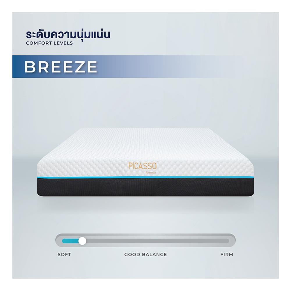 ที่นอนเมมโมรี่โฟม 3.5 ฟุต PICASSO COMFORT รุ่น BREEZE พร้อมชุดเครื่องนอน 7 ชิ้น
