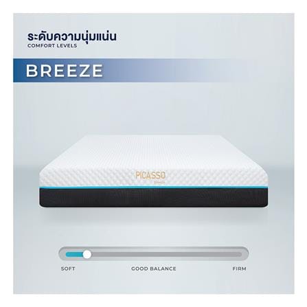 ที่นอนเมมโมรี่โฟม 5 ฟุต PICASSO COMFORT รุ่น BREEZE พร้อมชุดเครื่องนอน 11 ชิ้น_5