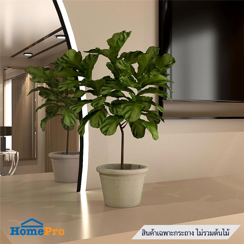 กระถางชีวภาพย่อยสลาย SPRING PLA NP-05