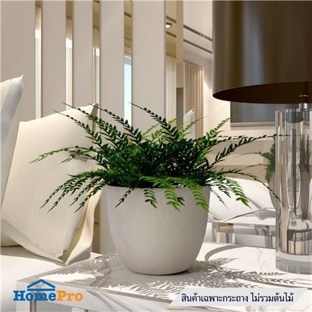 กระถางชีวภาพย่อยสลาย SPRING PLA NP-03_3