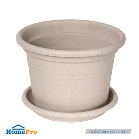 จานรองกระถางชีวภาพย่อยสลาย SPRING PLA 22.2 ซม._3