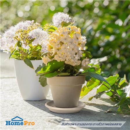 จานรองกระถางชีวภาพย่อยสลาย SPRING PLA 22.2 ซม._4