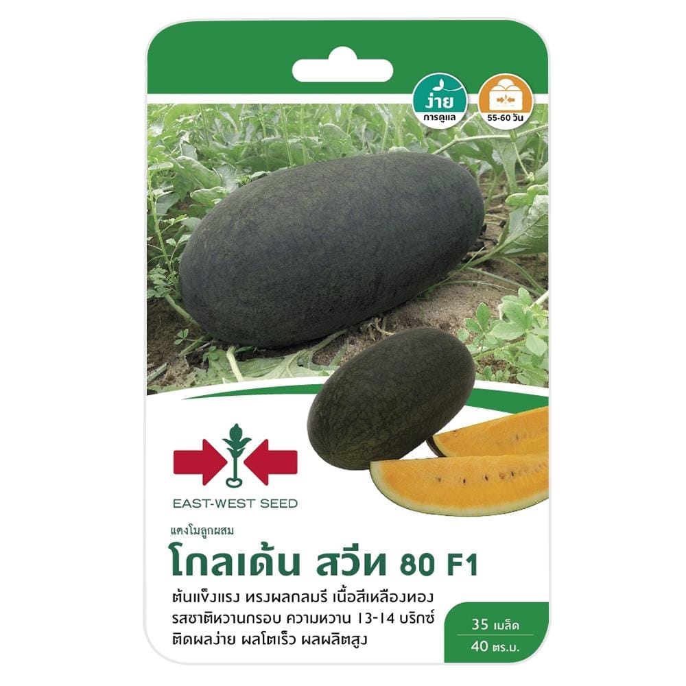 แตงโม F1 โกลเด้นสวีท 80 ศรแดง