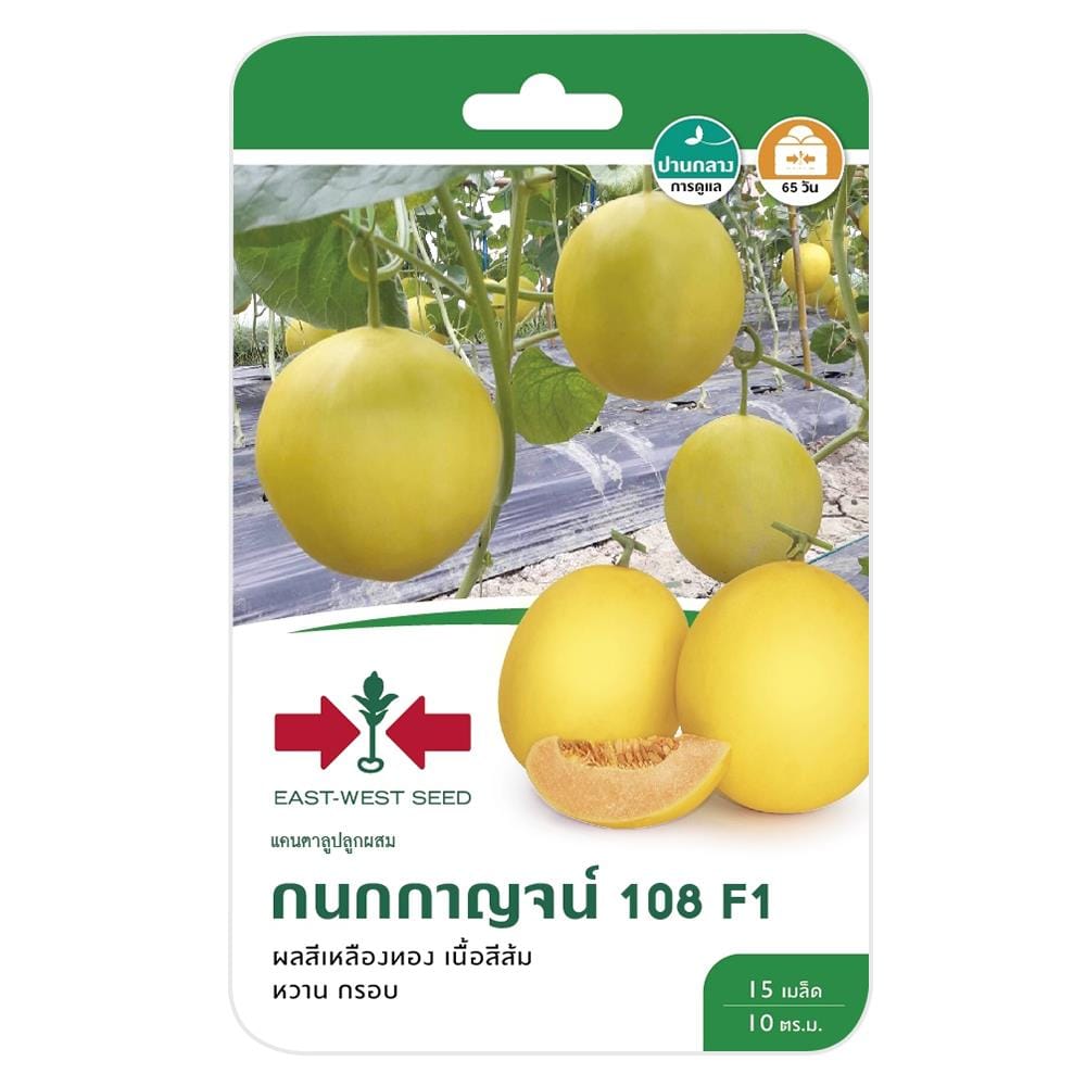 แตงแคนตาลูบ F1 กนกกาญจน์ 108 ศรแดง