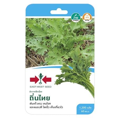 ผักกาดเขียวน้อย ถิ่นไท ศรแดง_0
