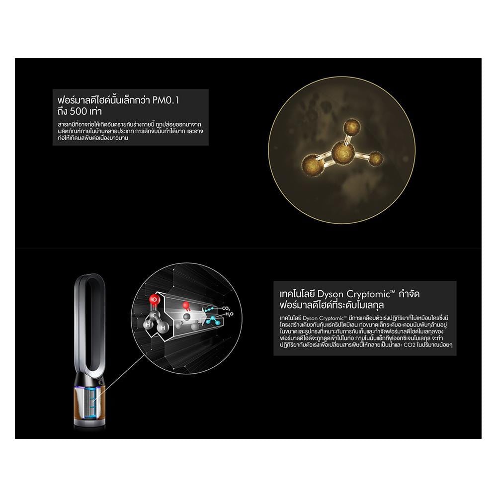 เครื่องฟอกอากาศ 27 ตร.ม. DYSON TP06 สีขาว/ทอง