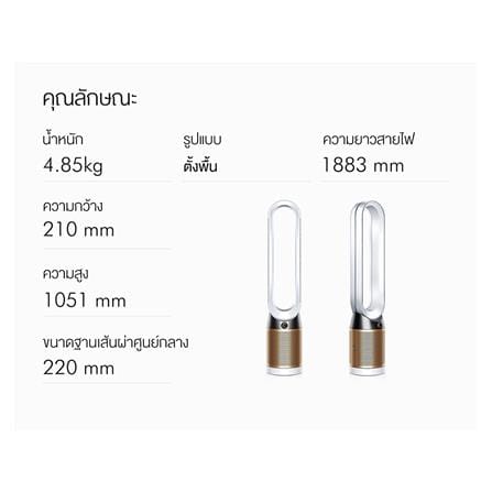 เครื่องฟอกอากาศ 27 ตร.ม. DYSON TP06 สีขาว/ทอง_6