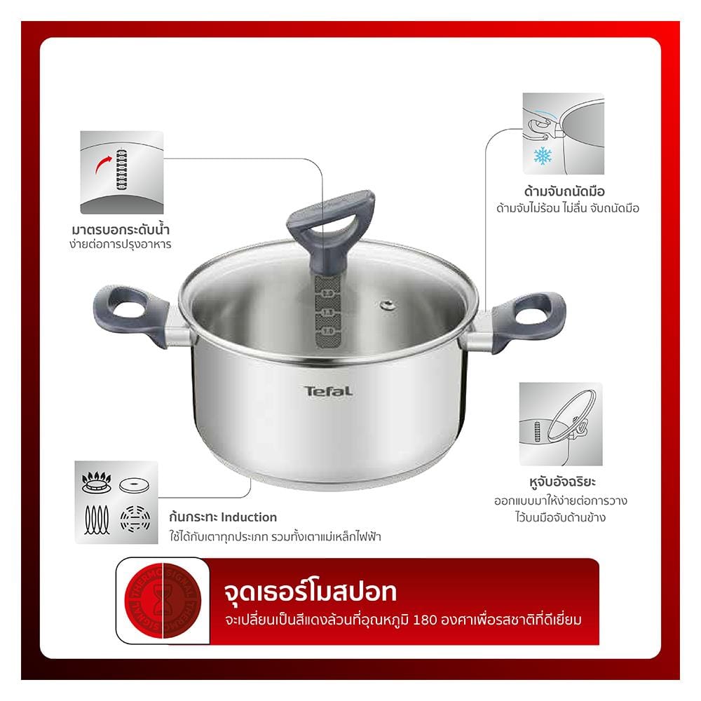 หม้อต้ม+ฝาแก้ว 20 cm TEFAL DAILY COOK