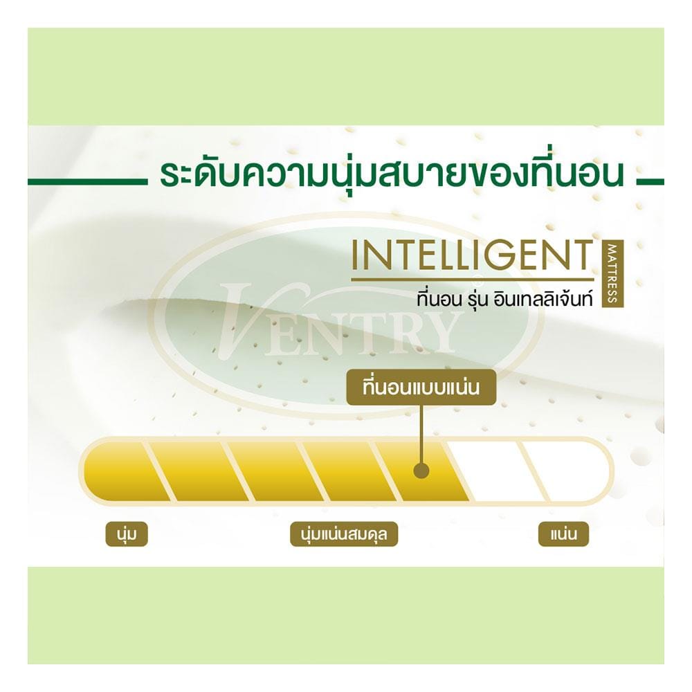 ที่นอนยางพารา 5 ฟุต VENTRY รุ่น INTELLIGENT