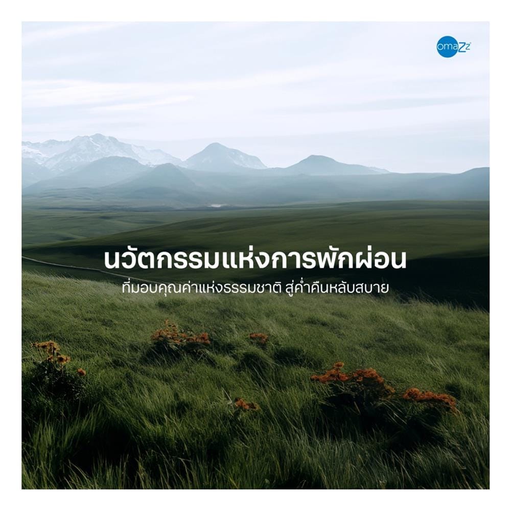 ที่นอนสปริง 5 ฟุต OMAZZ รุ่น FAMINGTON พร้อมชุดเครื่องนอน 8 ชิ้น