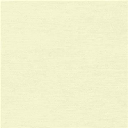 ไม้พื้น SHERA ดับเบิ้ล 4 นิ้ว 20X300X2.5 ซม. สีขาวมะลิ_2