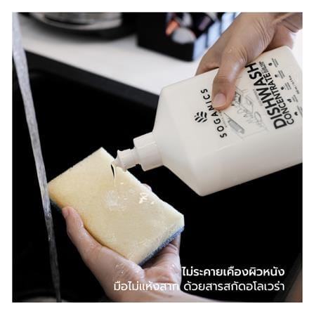 น้ำยาล้างจาน SOGANICS อโลเวร่า 500 มล._2