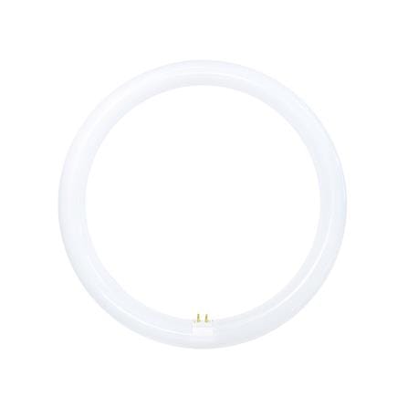 หลอด LED TOSHIBA MAGNETIC CIRCULAR 20 วัตต์ DAYLIGHT G10q