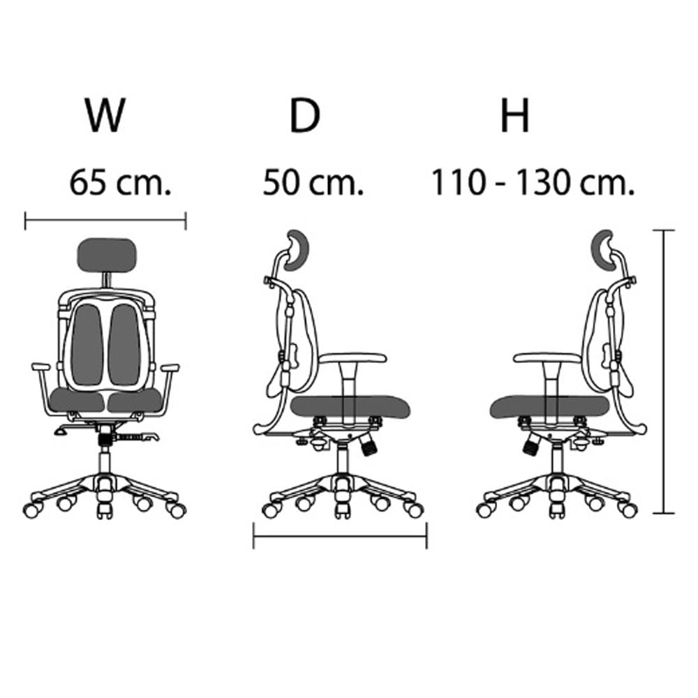 เก้าอี้เพื่อสุขภาพ HARA CHAIR NIETZSCHE-H สีดำ