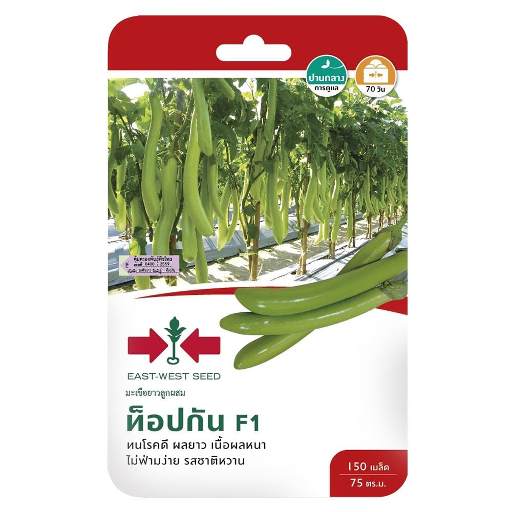 เมล็ดพันธุ์มะเขือยาวสีเขียว F1 ท็อปกัน