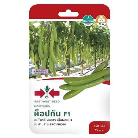 เมล็ดพันธุ์มะเขือยาวสีเขียว F1 ท็อปกัน_0