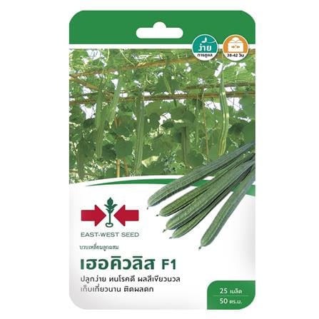 เมล็ดพันธุ์บวบเหลี่ยม F1 เฮอคิวลิส_0